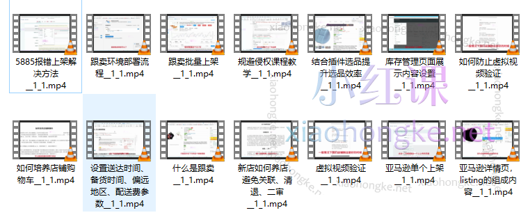 一个只说实话的跨境电商老板,亚马逊精选开店指导,选品实战课