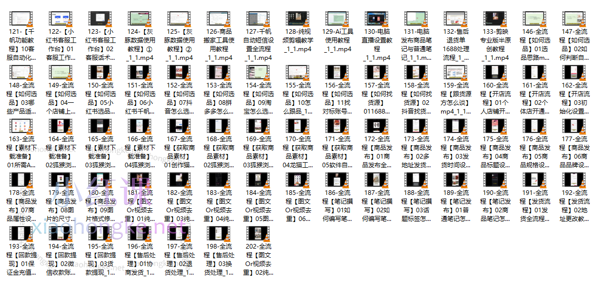 多米老师小红书开店从入门到精通全流程202节