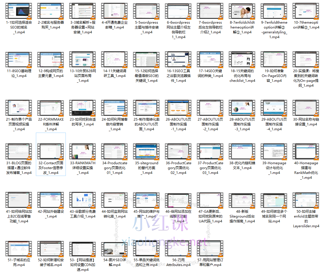 做外贸的Victoria:WordPress外贸建站+SEO优化课程