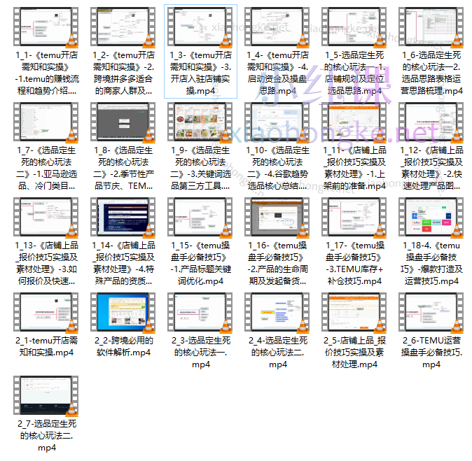 推易网红电商学院TEMU拼多多跨境开店运营选品精品课程