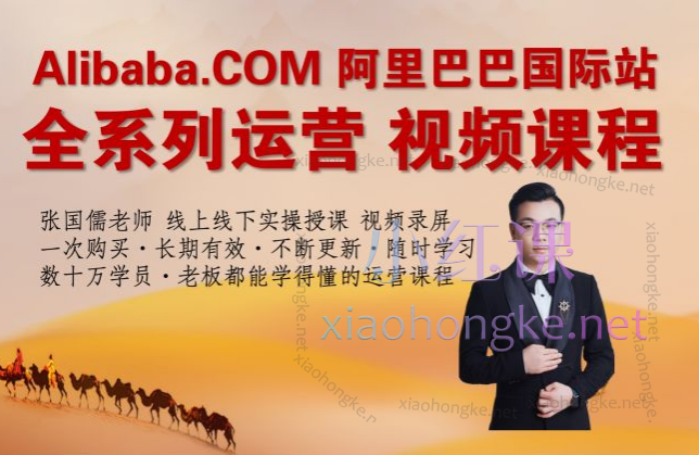 儒说alibaba线上实操运营VIP