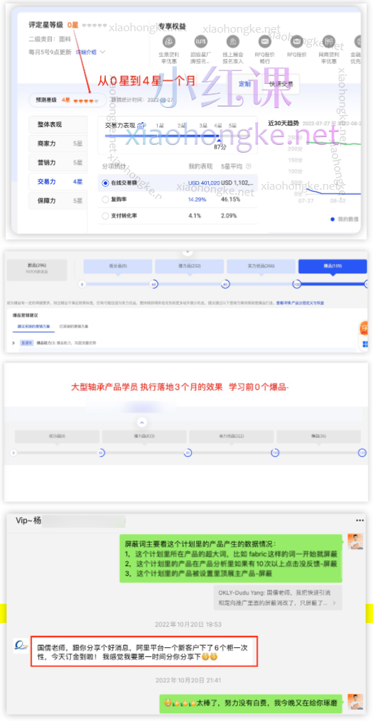 儒说alibaba线上实操运营VIP