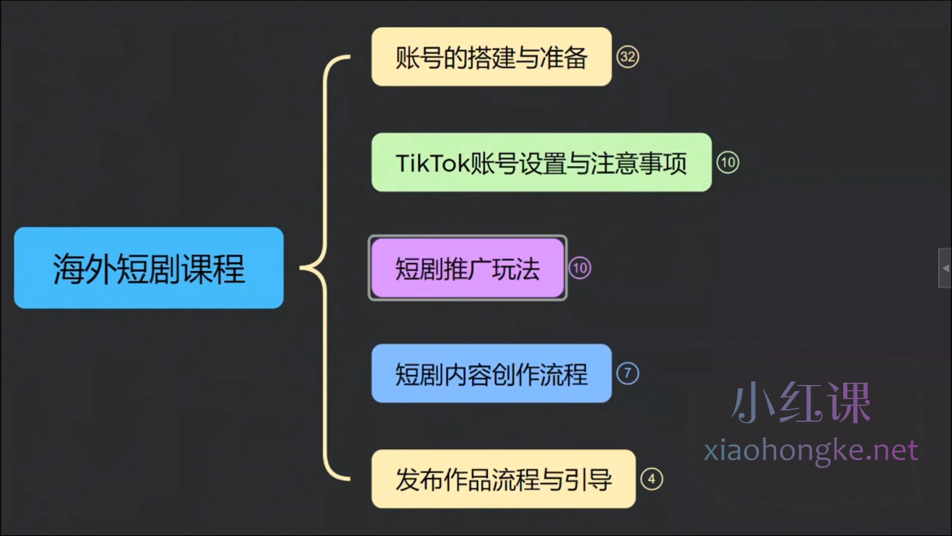 泰东老师TikTok全域运营课，大咖实战操作不懂外语依然轻松赚美金