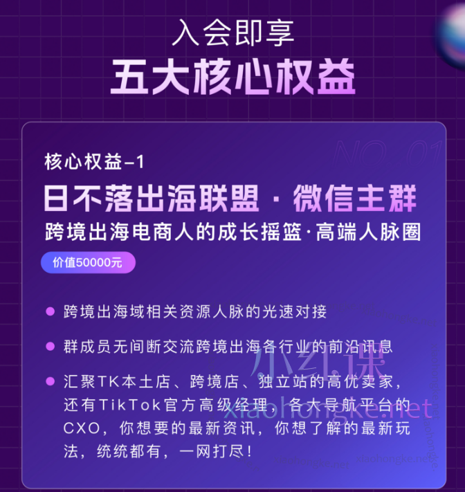 笛子姐/肖厂长：日不落出海联盟全球顶尖出海资源圈，跨境出海电商人的成长摇篮