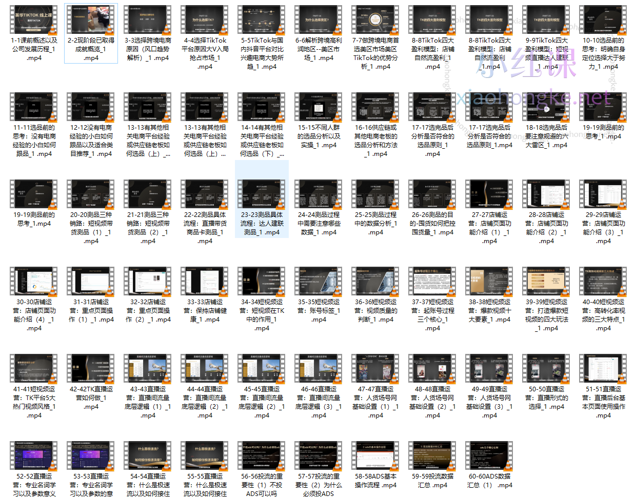英华(美区)TIKTOK全链路0-1变现路径教学,更新至69节