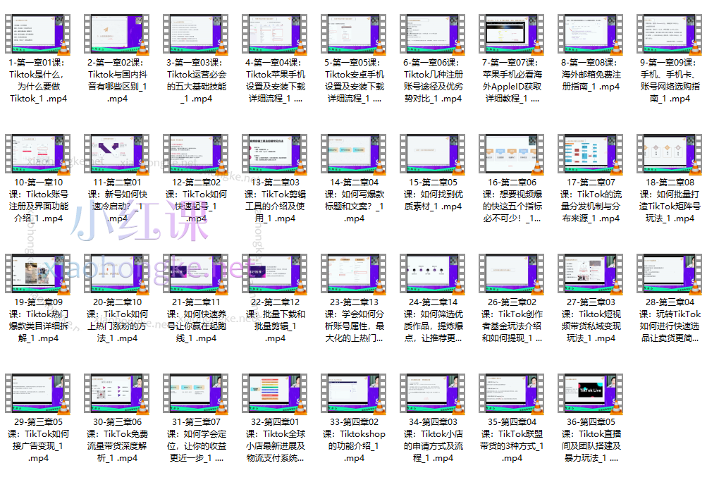 鸿久海基会-Tiktok实操课