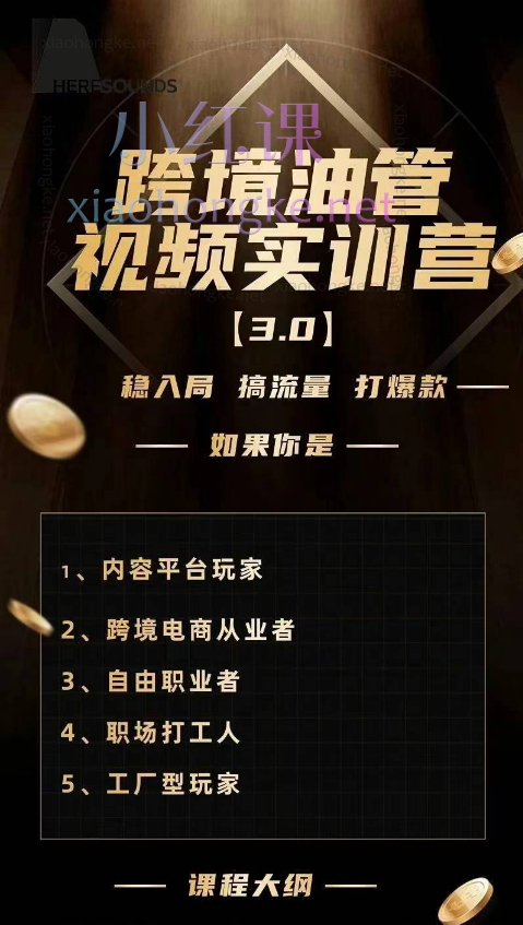 阿蔺Leo【黑松与山】油管YouTube线上运营实操课跨境电商YouTube运营
