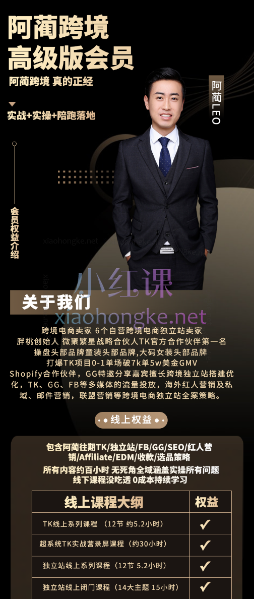 阿蔺Leo跨境高级会员涵盖:TikTok变现、独立站全案课、独立站闭门线上课以及线下课