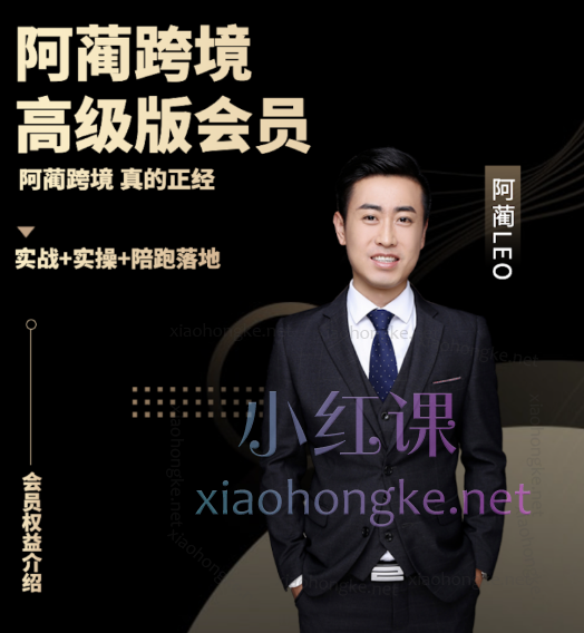 阿蔺Leo跨境高级会员涵盖：TikTok变现、独立站全案课、独立站闭门线上课以及线下课