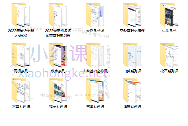 齐论拼多多学院-2022-2024年VIP学习卡