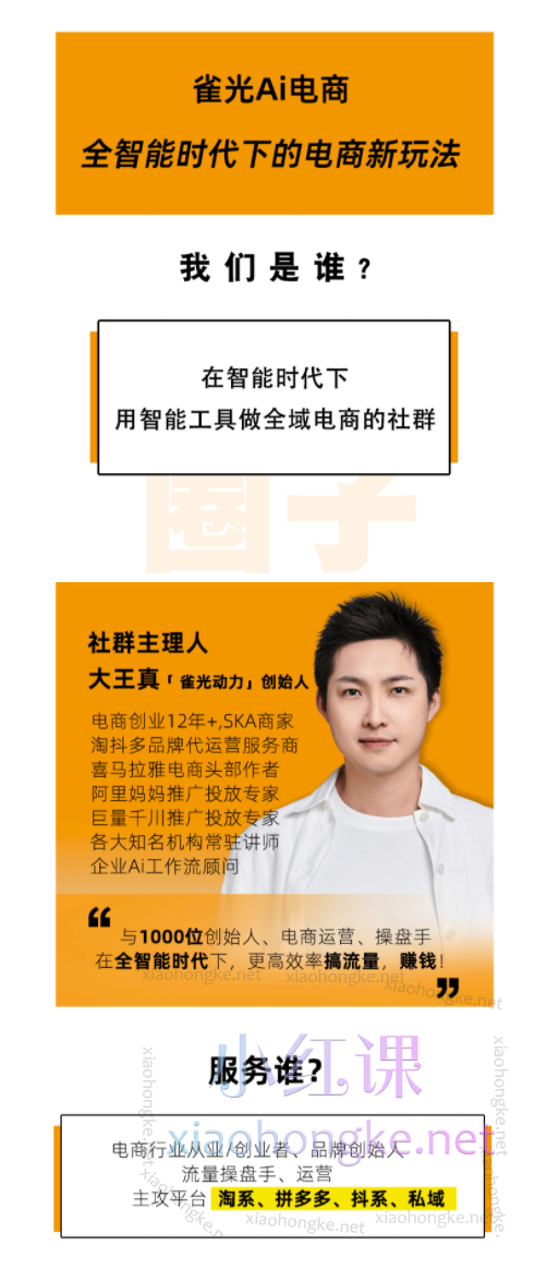 王天真【矩阵动销】雀光Ai电商社群（包含淘系+多多+抖系全部玩法课程+Ai电商课+9大Ai系统工具）