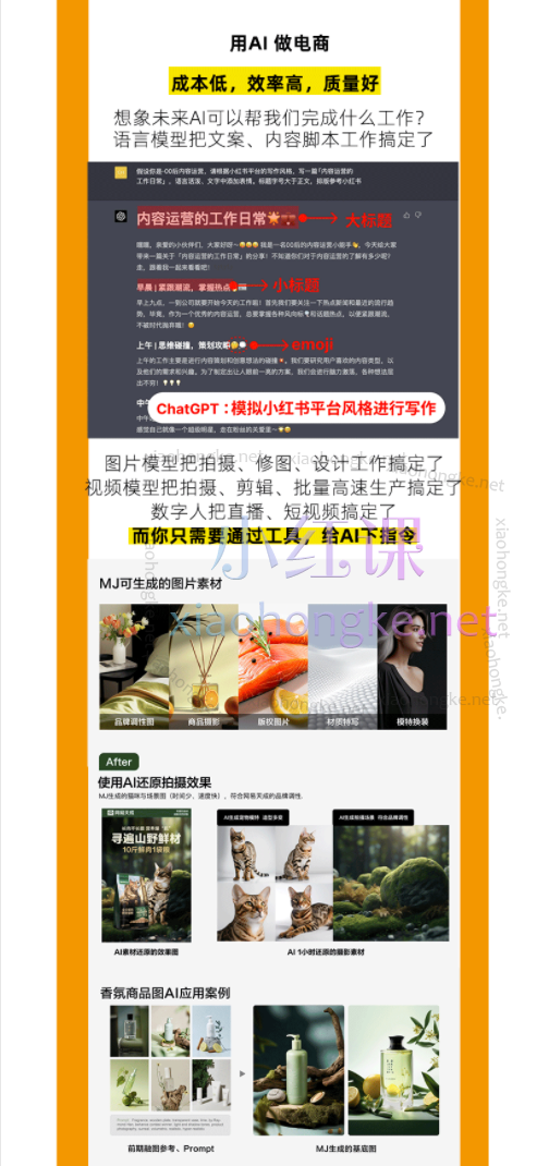 王天真【矩阵动销】雀光Ai电商社群（包含淘系+多多+抖系全部玩法课程+Ai电商课+9大Ai系统工具）