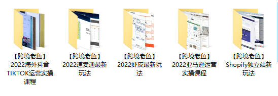 【跨境老鱼】Shopify独立站、虾皮、速卖通、TIK、亚马逊跨境电商合集
