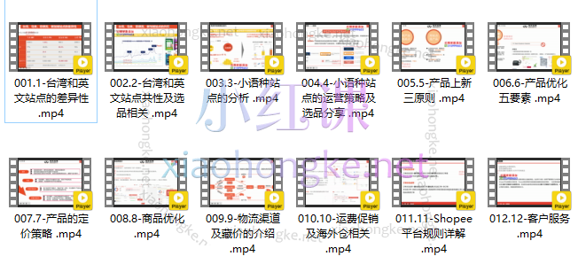 Shopee从0-1全方位入门，从站点分析、选品、产品上架、平台规则几个方面全方位、多层次的教你从0-1运营店铺