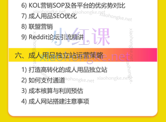 成人用品独立站从0-1入门,全面掌握独立站成品运营策略