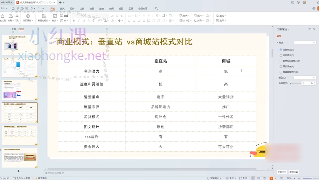 成人用品独立站从0-1入门，全面掌握独立站成品运营策略