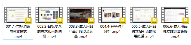 成人用品独立站从0-1入门，全面掌握独立站成品运营策略