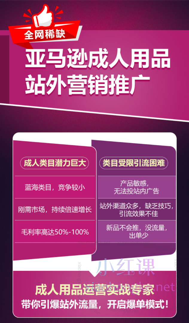 亚马逊成人用品站外营销推广，全网稀缺！