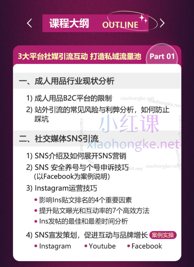 亚马逊成人用品站外营销推广，全网稀缺！