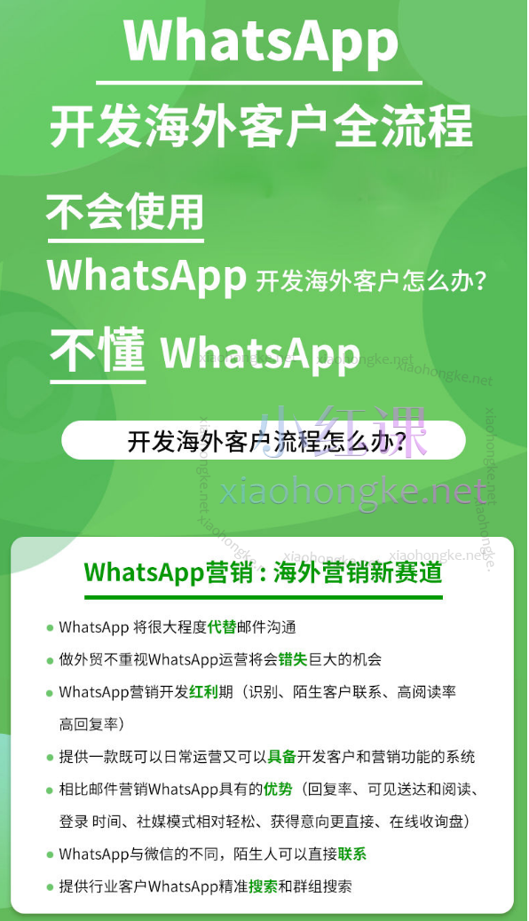 疯狂外贸WhatsApp开发海外客户攻略,从安装注册到高效营销及防封号技巧