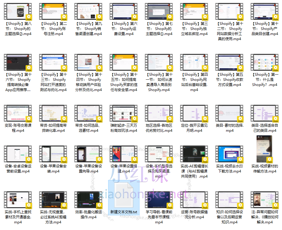 海晓TikTok进阶实战课