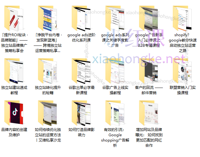 Iwish会员年卡，跨境电商独立站与谷歌广告营销全攻略课程