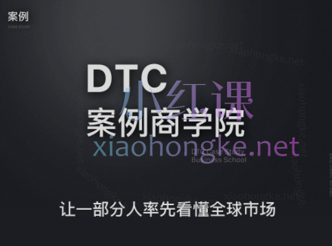 任小姐出海战略咨询-DTC案例商学院，让一部分人率先看懂全球市场
