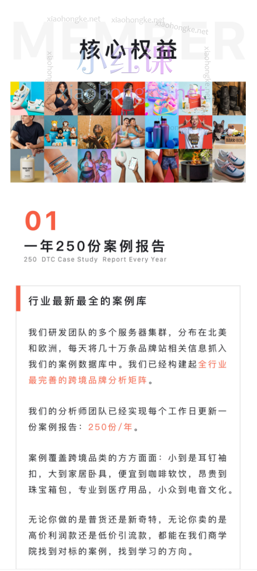 任小姐出海战略咨询-DTC案例商学院，让一部分人率先看懂全球市场