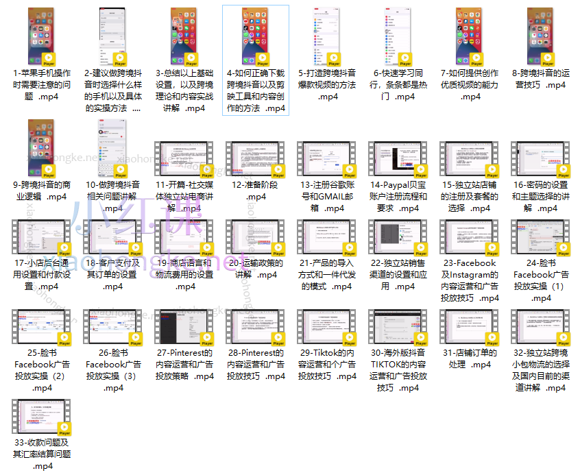 小观老师社交媒体+Tiktok+独立站0基础入门到精通