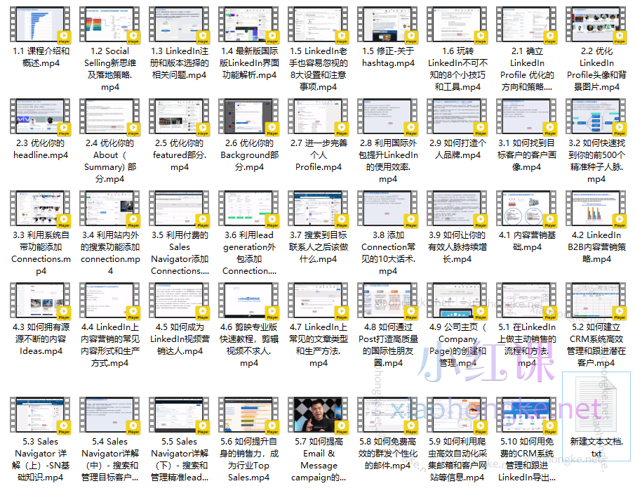 Leslie老师LinkedIn高阶实战，让LinkedIn成为你外贸业务开发和个人品牌打造的利器