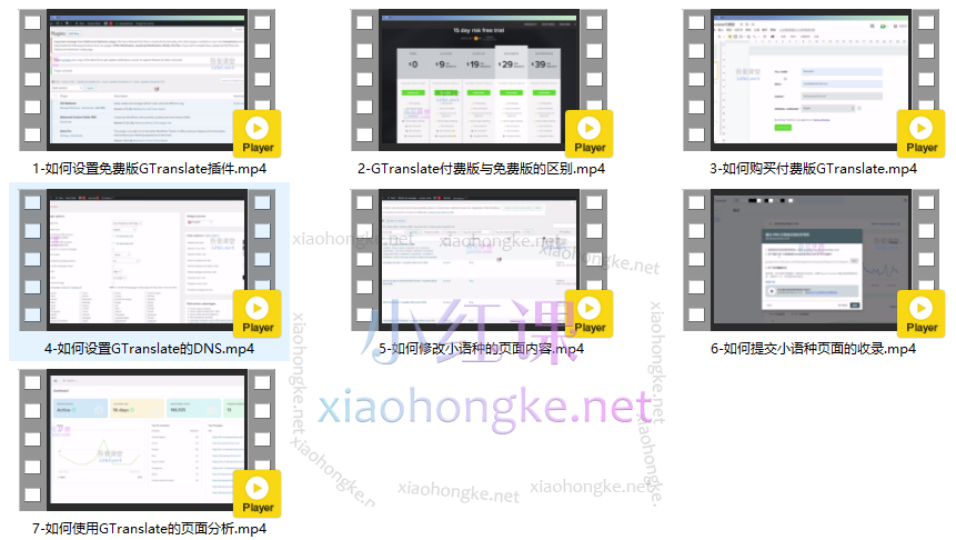 leizi多语言独立站建设专栏,全方位讲解多语言插件的使用