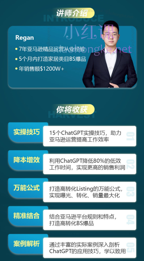 亚马逊爆款利器：ChatGPT实战攻略，以最低成本和最高效率打造BS爆品