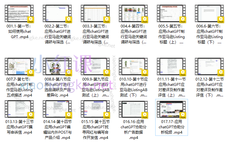 亚马逊爆款利器：ChatGPT实战攻略，以最低成本和最高效率打造BS爆品