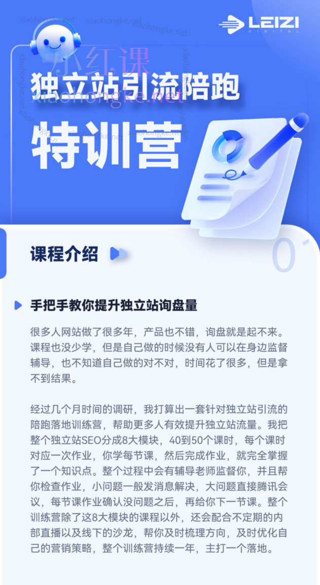 雷子Leizi独立站引流陪跑特训营
