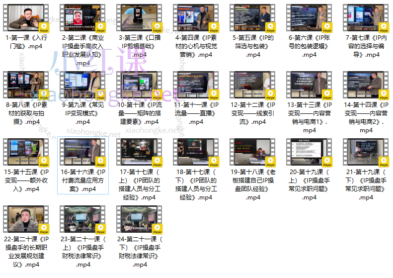 【2024】IP流量操盘手线上训练营13组