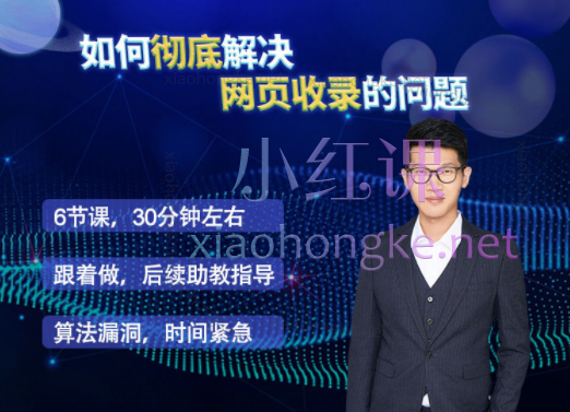 雷子leizi如何彻底解决网站收录的问题