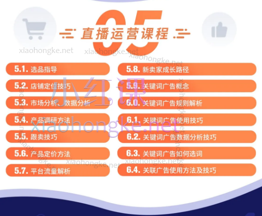 达橙跨境电商shopee全套实操运营课程