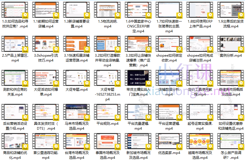 达橙跨境电商shopee全套实操运营课程