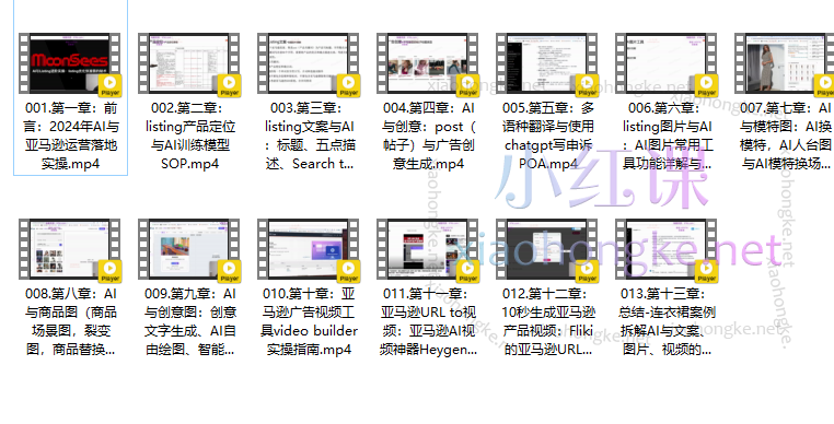 Moonsees的AI与亚马逊文案&amp;图片&amp;视频：运营快准狠的秘技