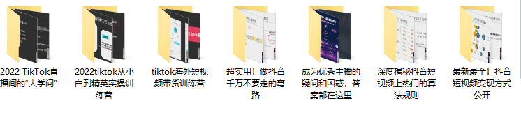 Seven漆《国内&TIKTOK短视频直播训练营》合集