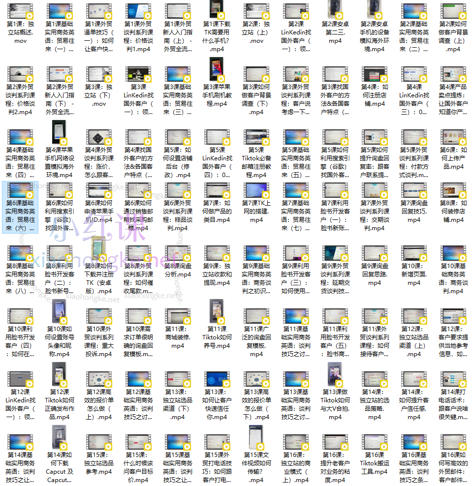 旺坤学院零基础学外贸，如何把货卖国外全流程涵盖（社媒、商务英语、谈判、独立站、Tiktok、soho）