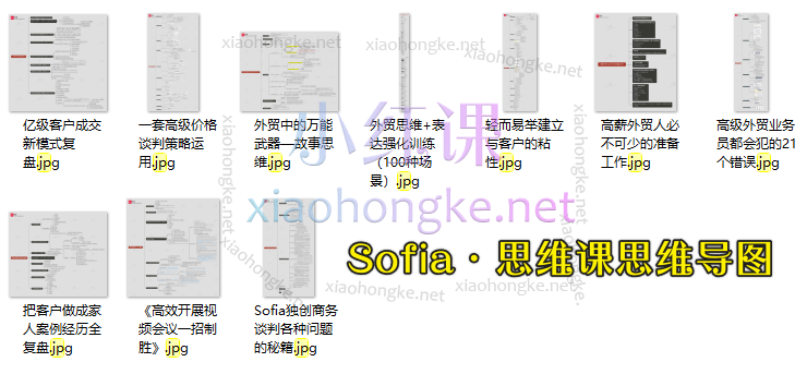 2025帮课Sofia思维课：把Sofia学会50%，可以碾压90%以上的外贸业务员