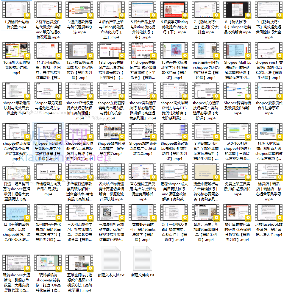掘金人电商【东南亚shopee跨境电商】运营精品班/陪跑实操/基础-高阶运营技巧系列课
