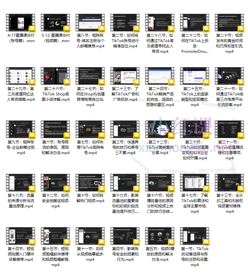 大山TikTok7天陪跑特训营，提供品牌+拓客解决方案