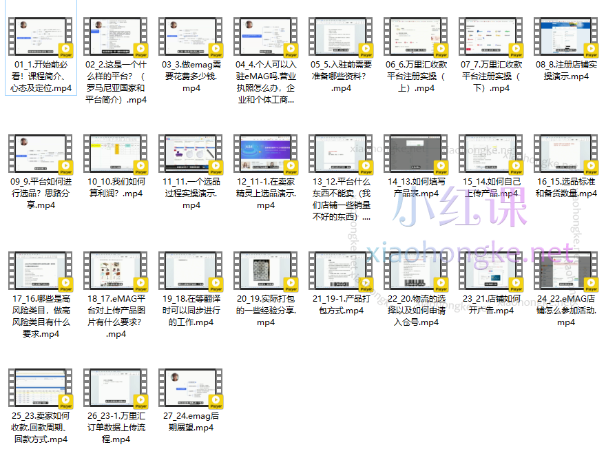 2024废热跨境emag从0到1小白启动课价值1299元