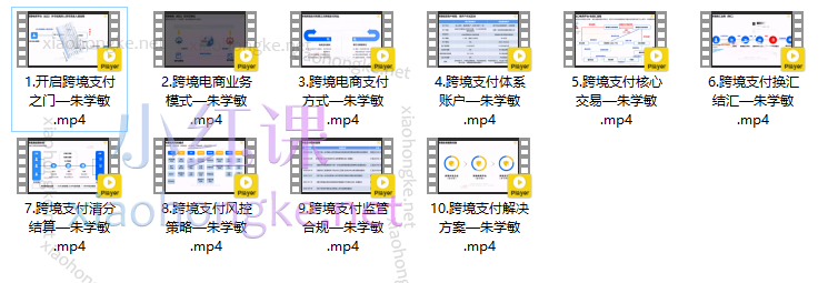 2024年跨境人第一课：朱学敏跨境支付训练营，提升核心支付能力，购付汇/收结汇/国际支付/清结