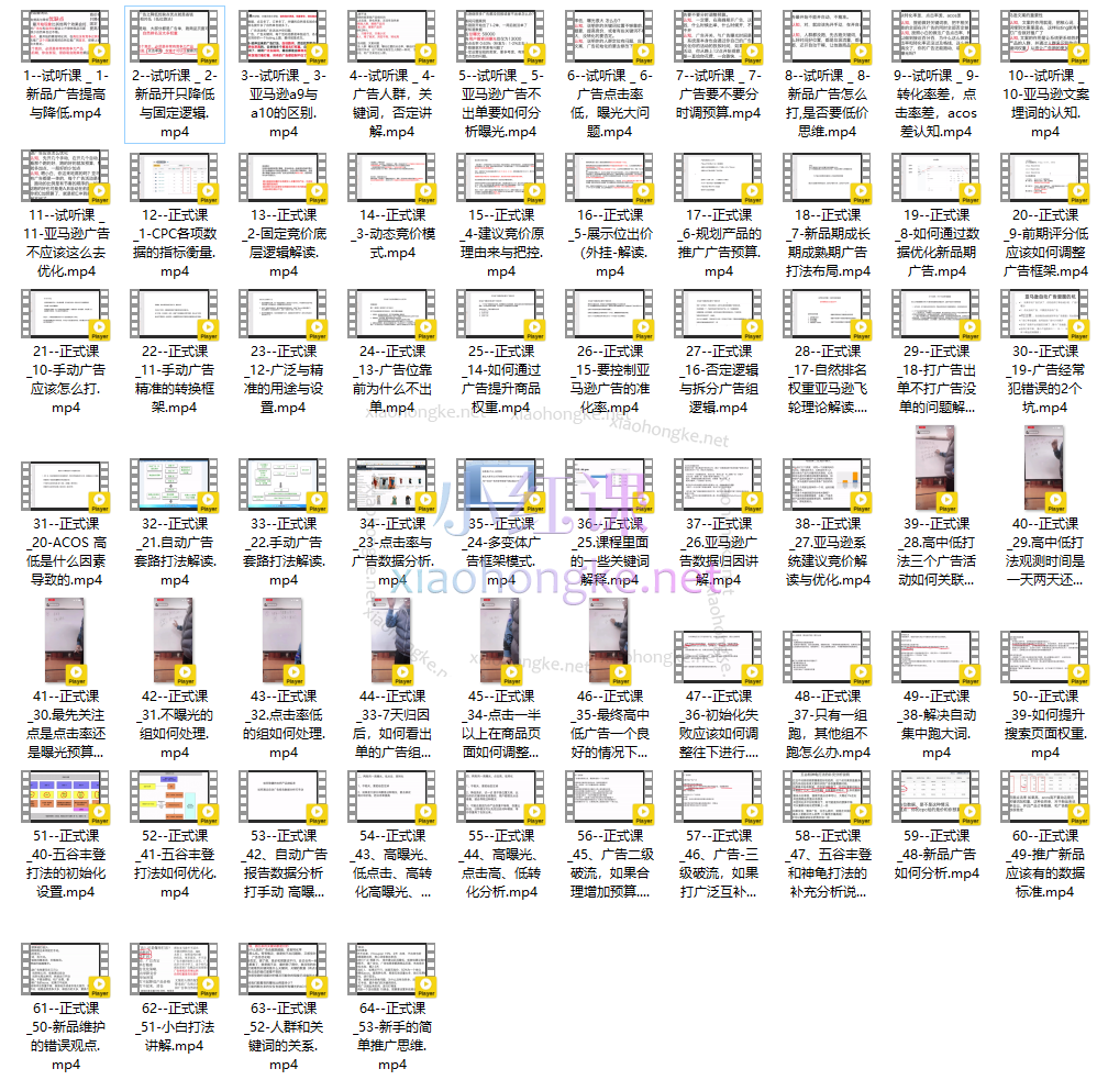 Sam大叔(山姆)亚马逊运营广告底层逻辑与实操打法广告课