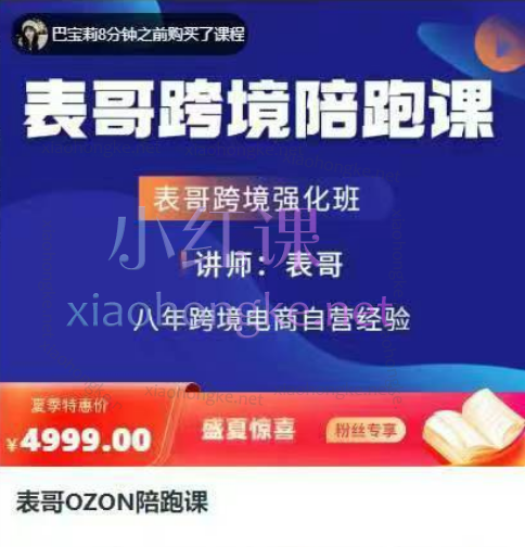 表哥跨境OZON陪跑课，从店铺开设到爆款打造与运营进阶
