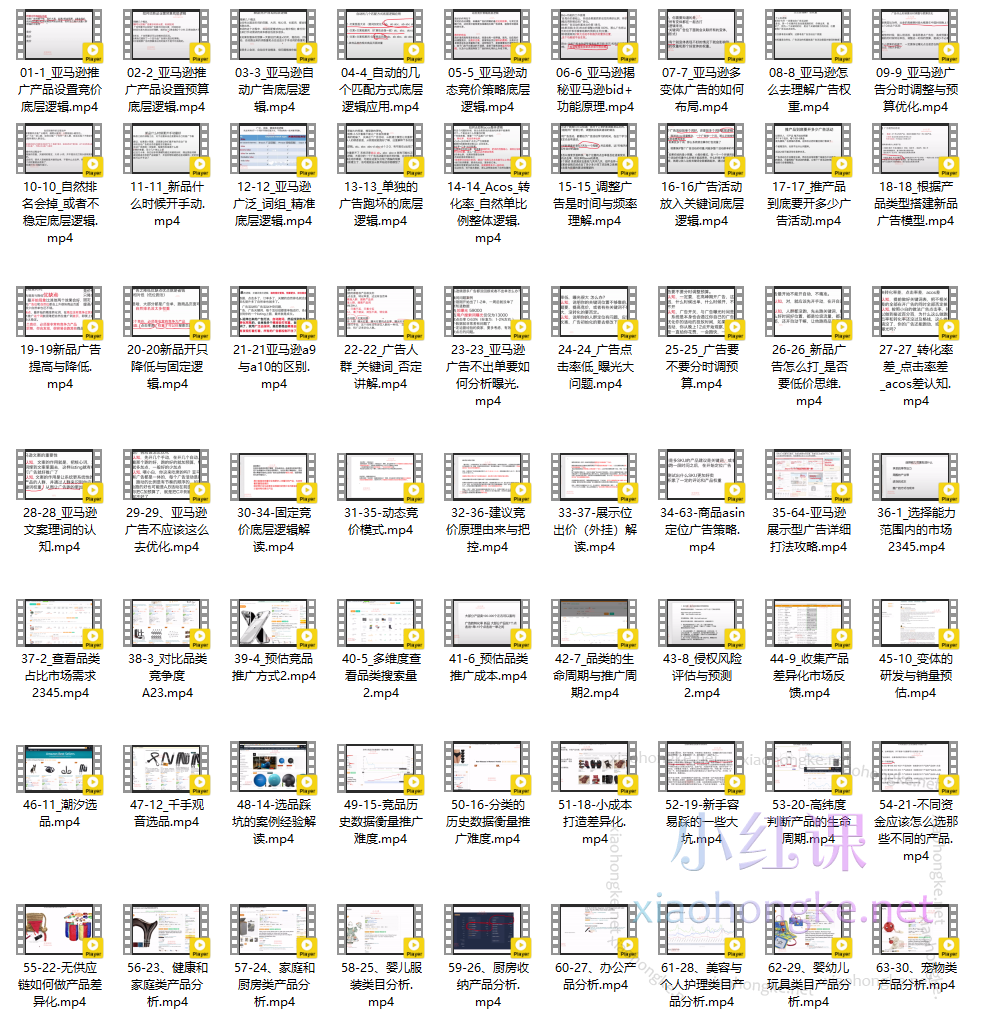 Sam大叔亚马逊电商老中医专注投流打造爆款-【亚马逊广告选品底层逻辑一课通】（131节）