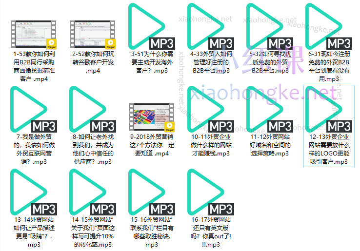 疯狂外贸:外贸全网营销实战课程
